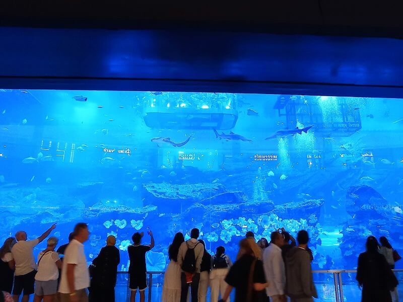Dubai Mall Aquarium with visitors watching sharks, rays, and fish swimming in the large blue tank.