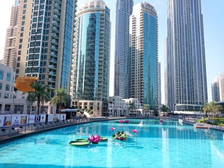Downtown Dubai with turquoise Burj Lake decorated with pink lotus flower sculptures, tall residential towers, and palm trees along the waterfront under a blue sky.