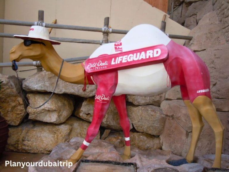 Camel sculpture wearing a lifeguard outfit at Wild Wadi Water Park in Dubai, standing near a stone wall.