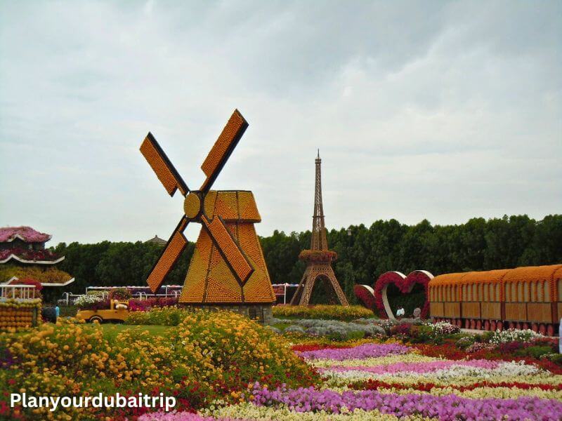 A flower windmill and a flower replica of the Eiffel Tower standing among colorful flower beds at Dubai Miracle Garden, with a flower-covered train on the side.